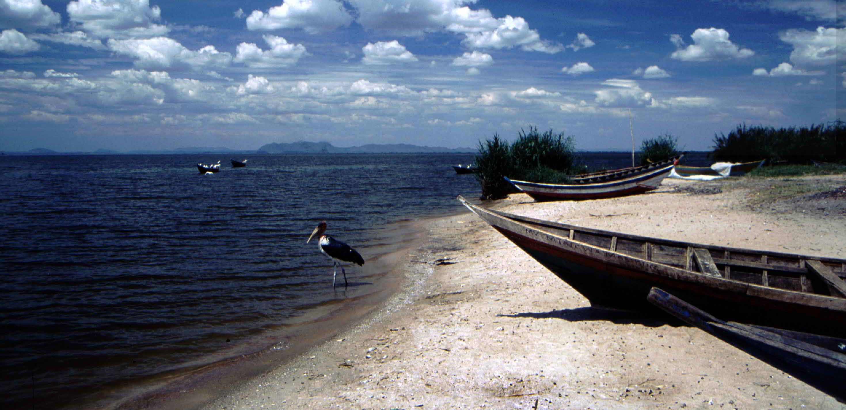 lake Victoria Uganda 