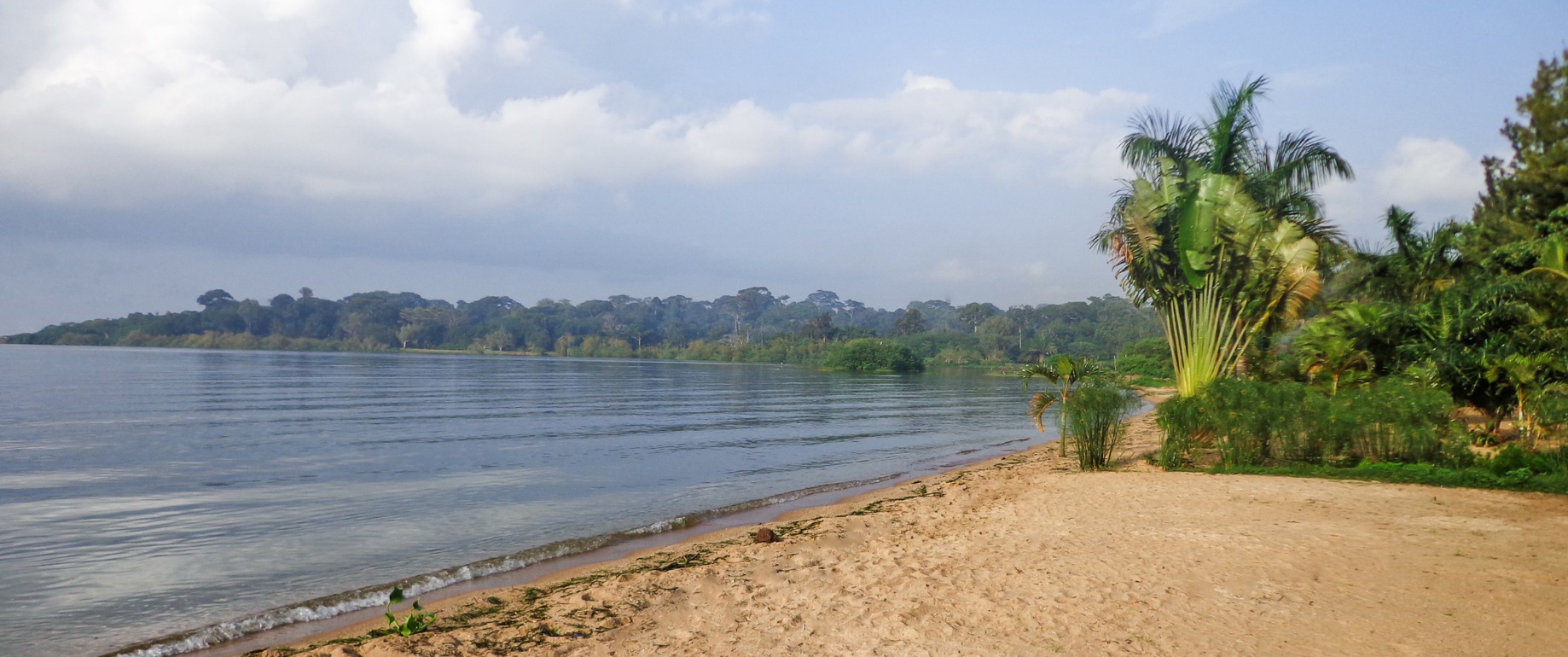 lake victoria wildlife